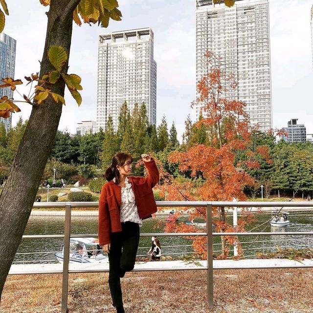 [Voyage17.] 곧 있으면 송도 센트럴파크에서 볼 수 있는 가을 풍경🍂🍁^^