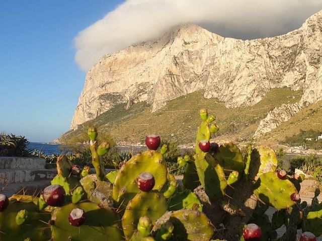 美麗的秘景小島🇮🇹🇮🇹