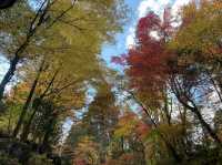 古峯神社