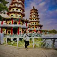 Lotus Pond 