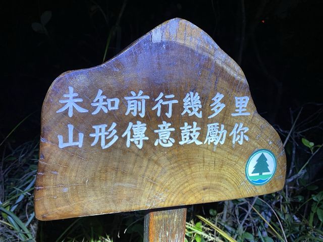 港島初級行山路線🥾⛰