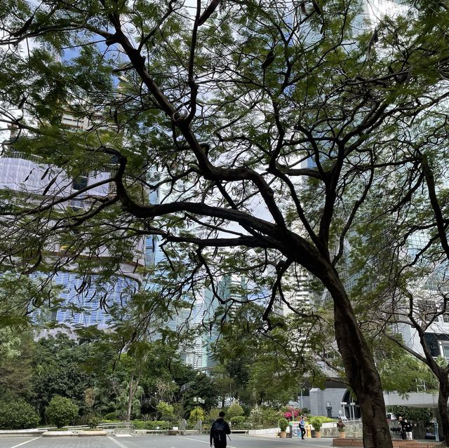 遮打花園