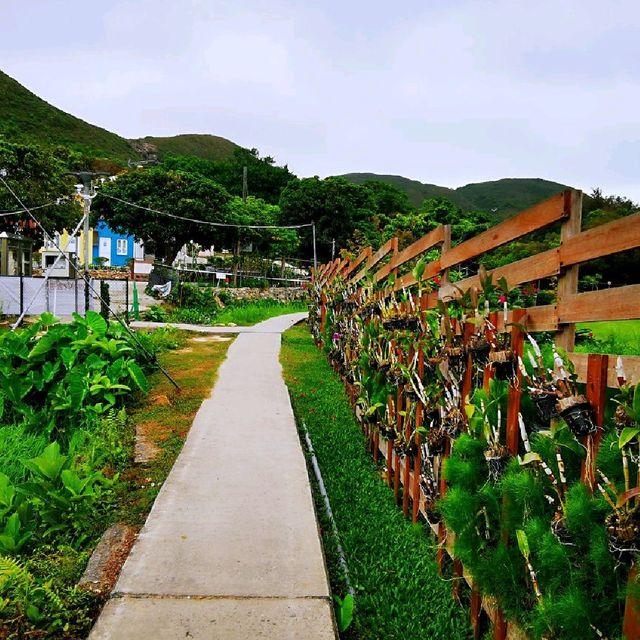 白臘村
