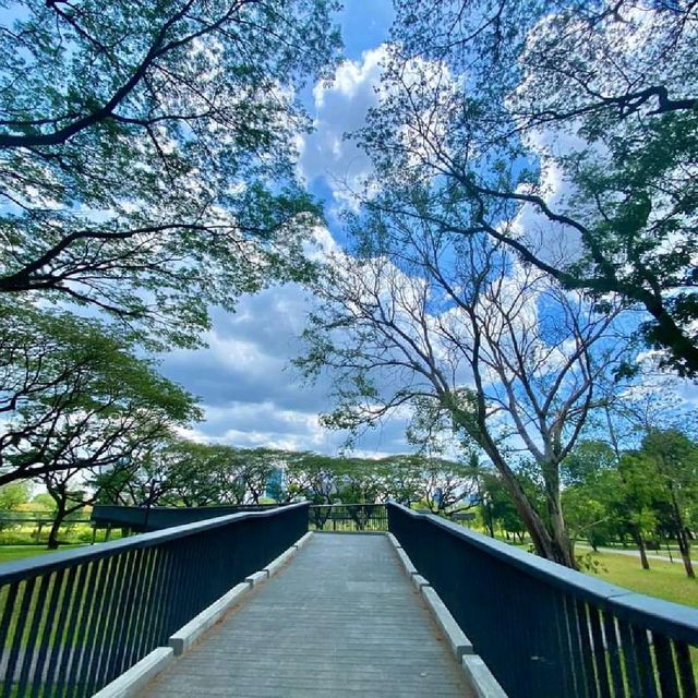 สวนเบญจกิติ