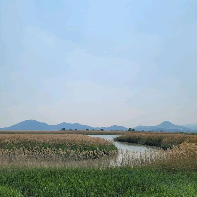순천여행 순천만자연생태공원 