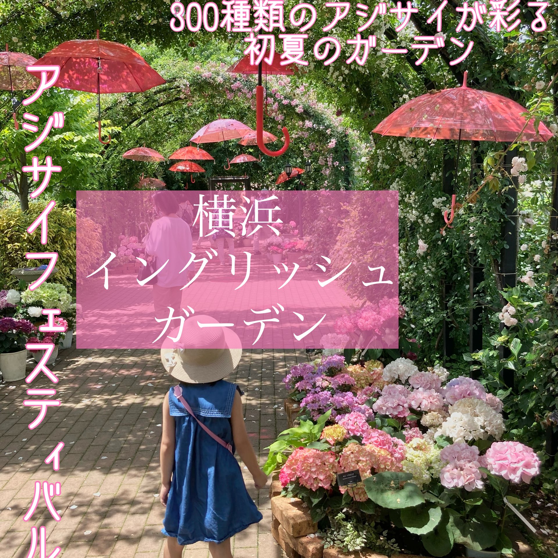 横浜イングリッシュガーデン アジサイフェスティバル Trip Com 横浜の旅のブログ