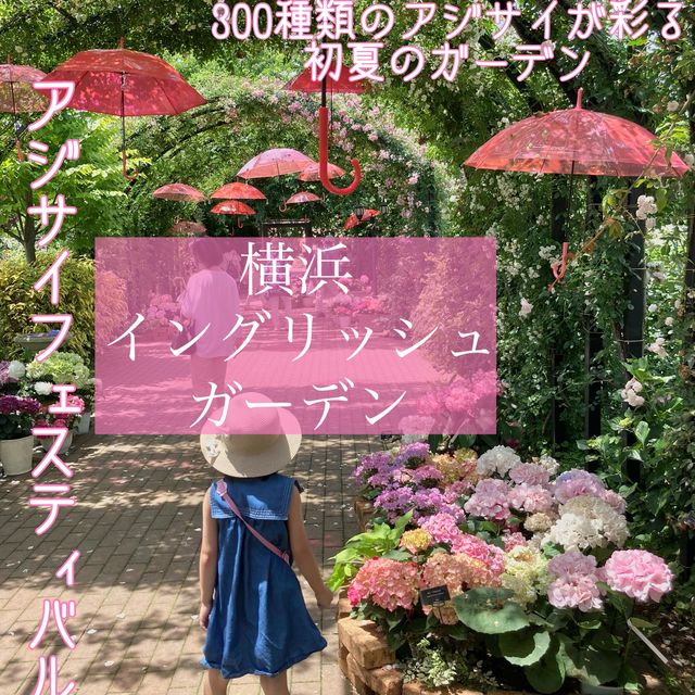 横浜イングリッシュガーデン　アジサイフェスティバル