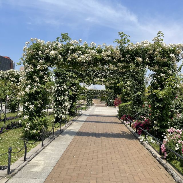 横浜の海の見える山下公園