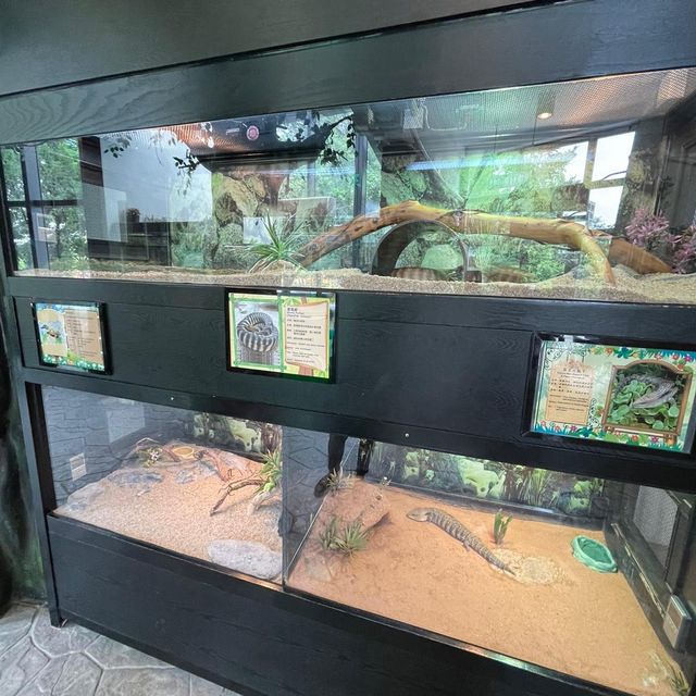 屯門公園-爬蟲館