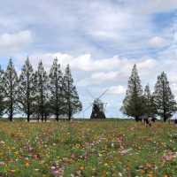 歐洲feel曙之山公園｜千葉縣