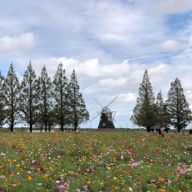 歐洲feel曙之山公園｜千葉縣