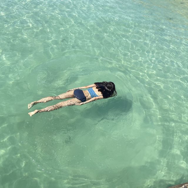 사람 없는 판포포구 가고싶은 사람🙋🏻‍♀️🏝🌴🌊
