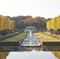 国営昭和記念公園⛲️
