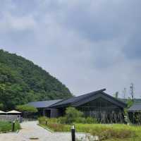 자연과의 어울림이 멋진 카페 묵리 🌿