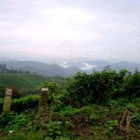 Hiking in the higlands of Munnar