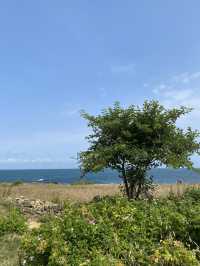 울산여행 코스 추천 (대왕암공원 - 슬도) 