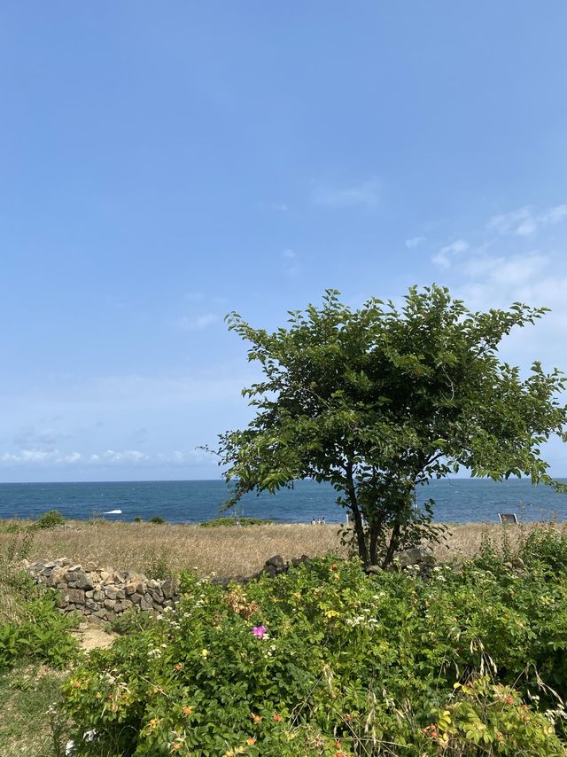 울산여행 코스 추천 (대왕암공원 - 슬도) 