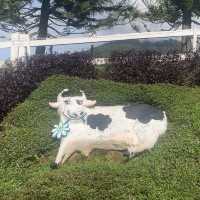 Desa Dairy Farm Sabah