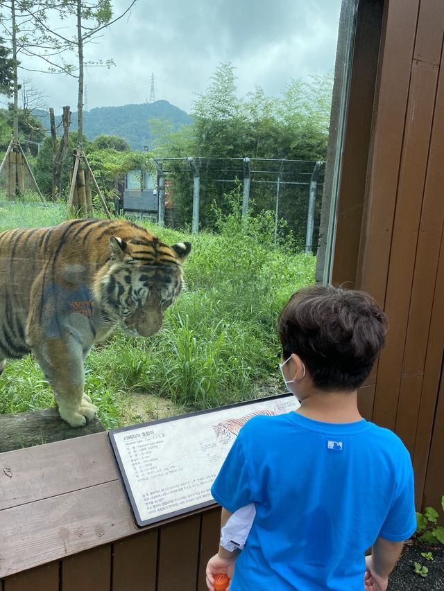 아이들과 함께 가기 좋은 곳, 서울대공원 동물원 🐘