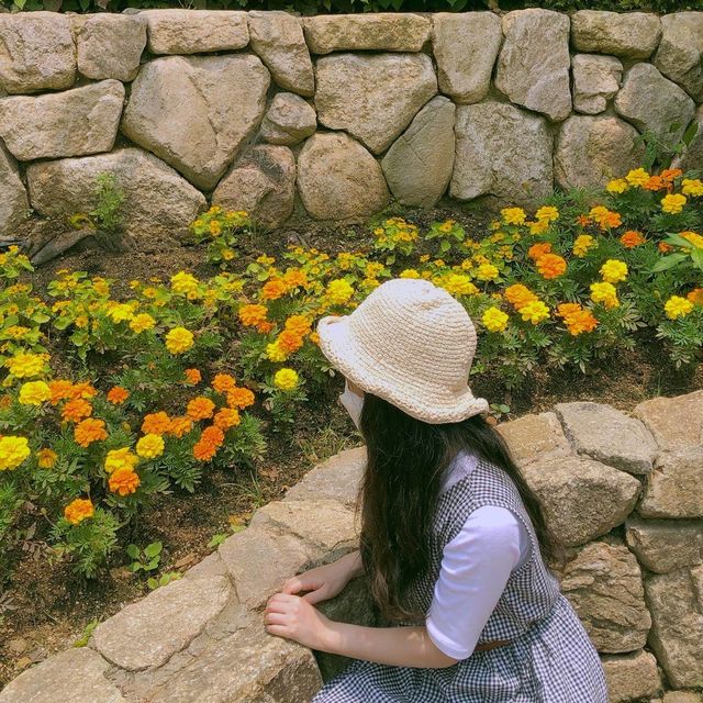 부모님 모시고 가기 좋은 여행 장소 “곤지암 화담숲”