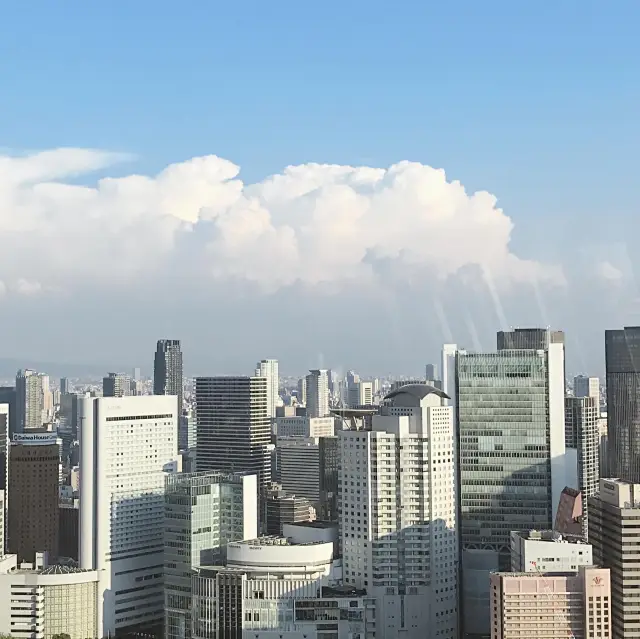 “우메다 공중정원”에서 보는 오사카 빌딩숲🍃🏙️