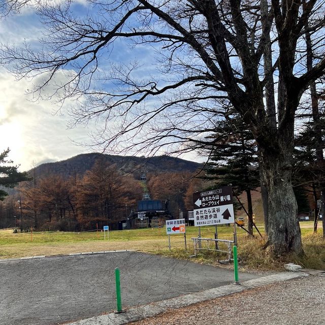 【福島】半露天風呂からの景色が絶景な立ち寄り温泉