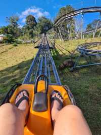 Jungle Coaster, Chiangmai 