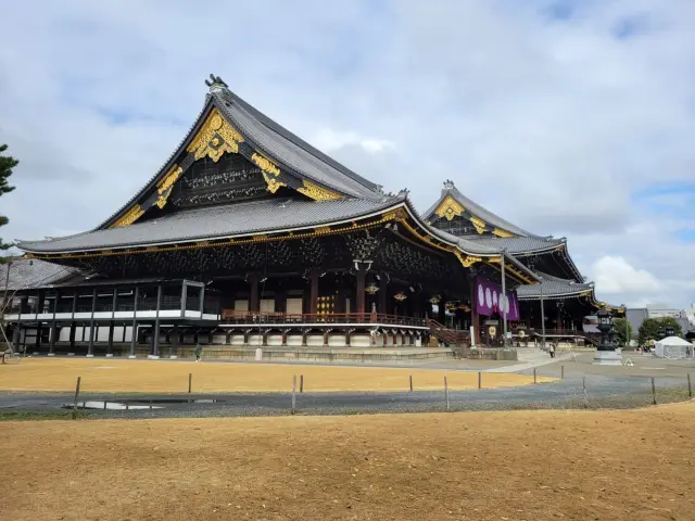 寺內周邊長滿聳立的銀杏樹｜東本願寺