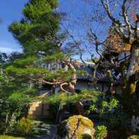 京都楓葉季