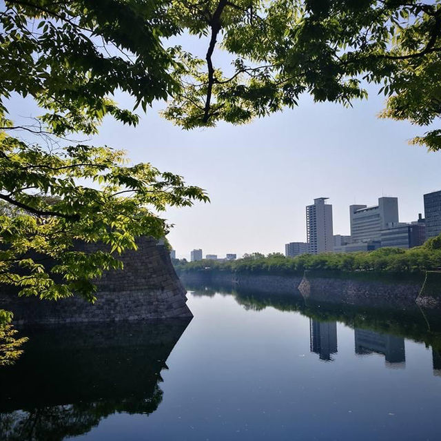 來感受一下歷史名城大阪城堡🌿