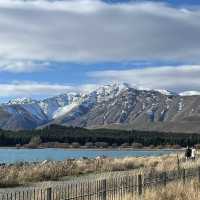 Lake Tekapo & Church of Good Shepherd 