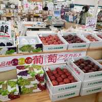 【長野】たてしな自由農園　原村