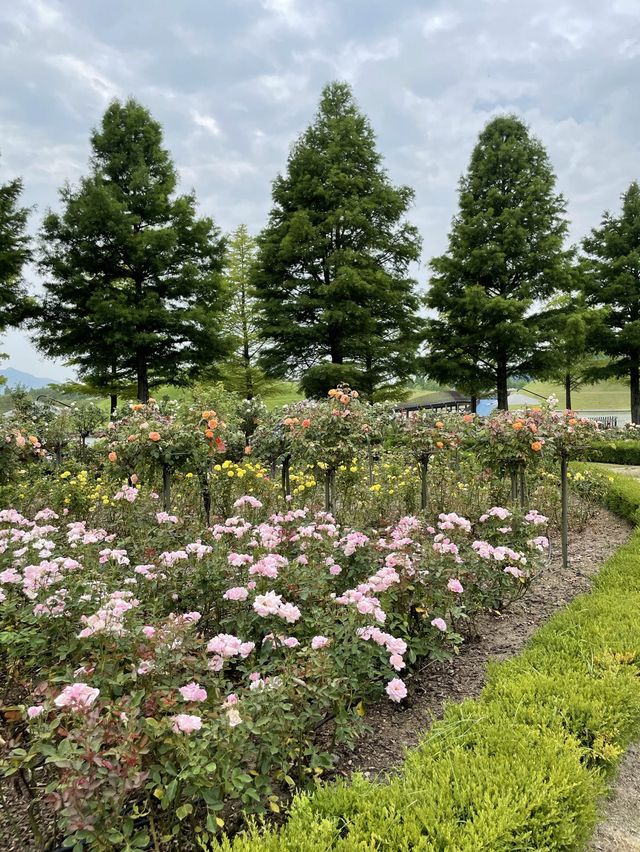 세계일주 한듯, 국가별 테마 정원이 모인 순천만 국가정원🌳