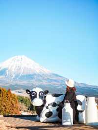 まかいの牧場