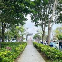 賞花攻略 大埔海濱公園