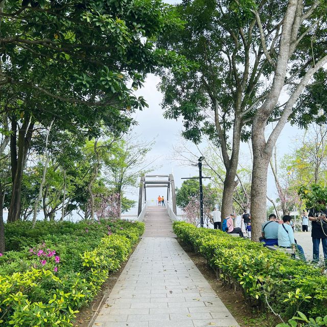 賞花攻略 大埔海濱公園