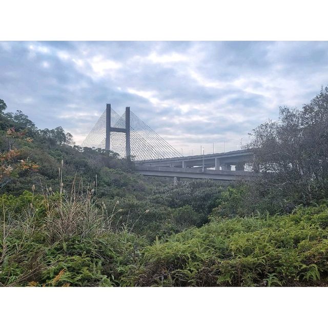 一條路線・飽覽香港三條大橋。大頭嶺