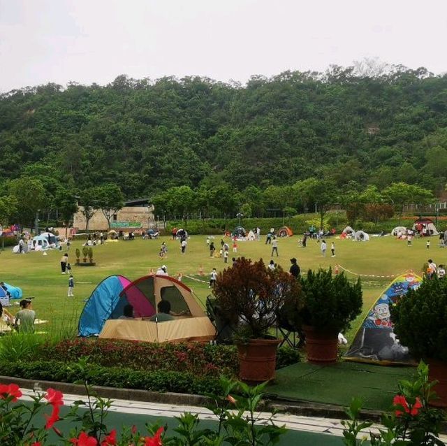 市區大草原佐敦谷公園