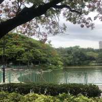 環境清幽嘅屯門市公園