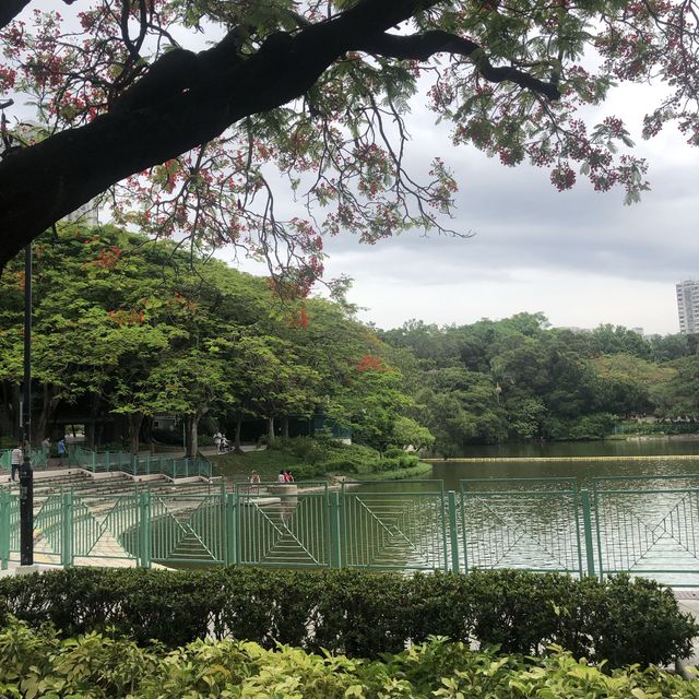 環境清幽嘅屯門市公園