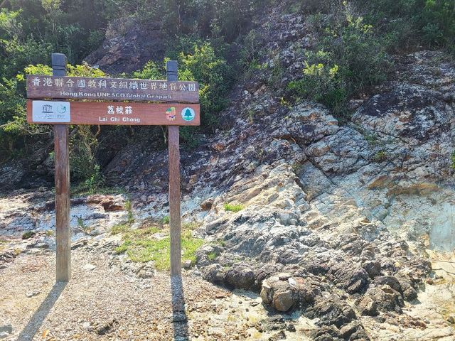 世外桃源系列~荔枝莊🏝️