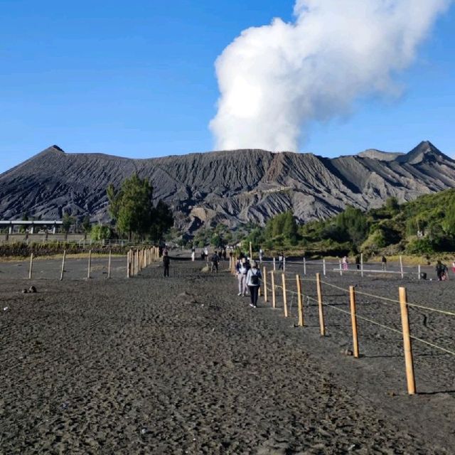 Majectic Bromo