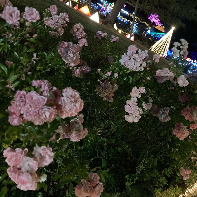 はままつフラワーパーク　フラワー・イルミネーション
