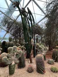 Admiring Nature’s Beauty inside Flower Dome