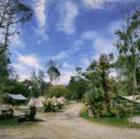 Glamping by the Riverside