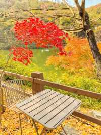 공주-엔학고레