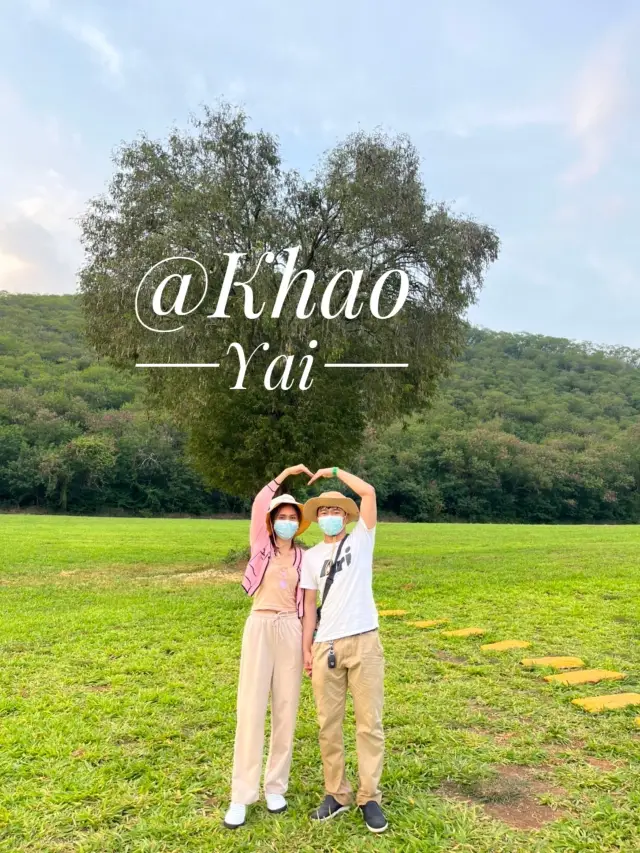 เขาใหญ่ไหม ใหญ่นะ ⛰️