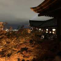 京都紅葉2022  清水寺のライトアップに圧倒される！