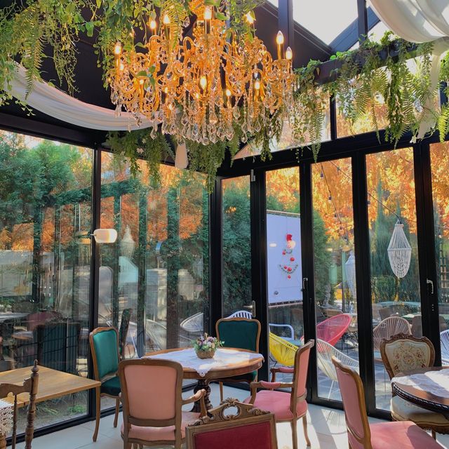 [🇰🇷, 창원] 가로수길 카페 추천, 오후의 정원 ☕️