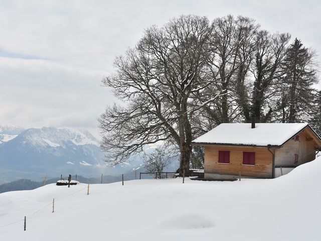 ราชินีแห่งขุนเขา Rigi 🇨🇭
